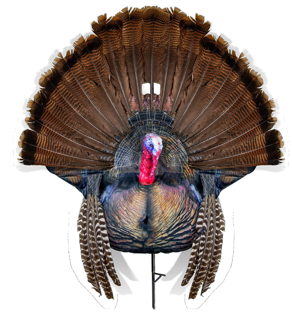 Montana Decoy Wiley Tom 2D decoy for authentic fanning and reaping.