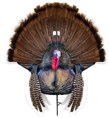 Montana Decoy Wiley Tom 2D decoy for authentic fanning and reaping.