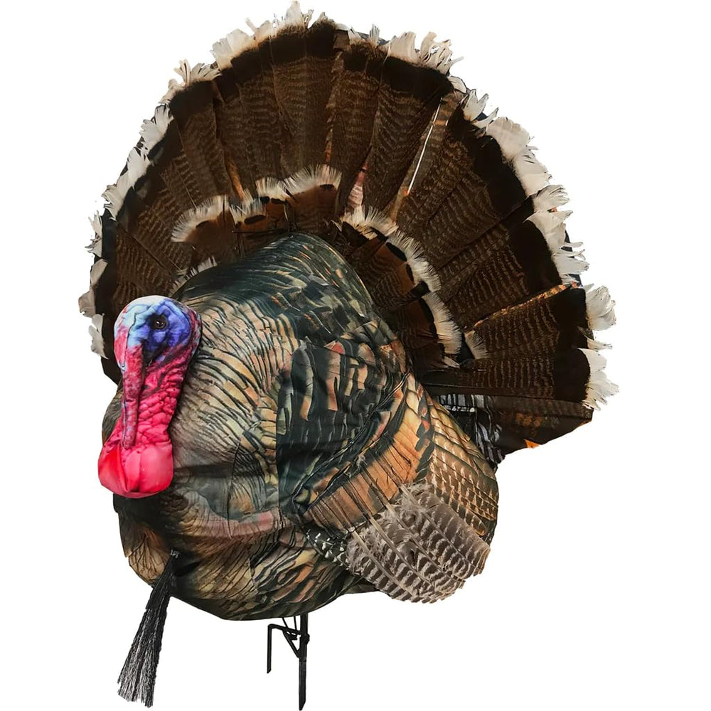 Montana Decoy Wiley Tom 3D turkey decoy with 3D body for enhanced realism.
