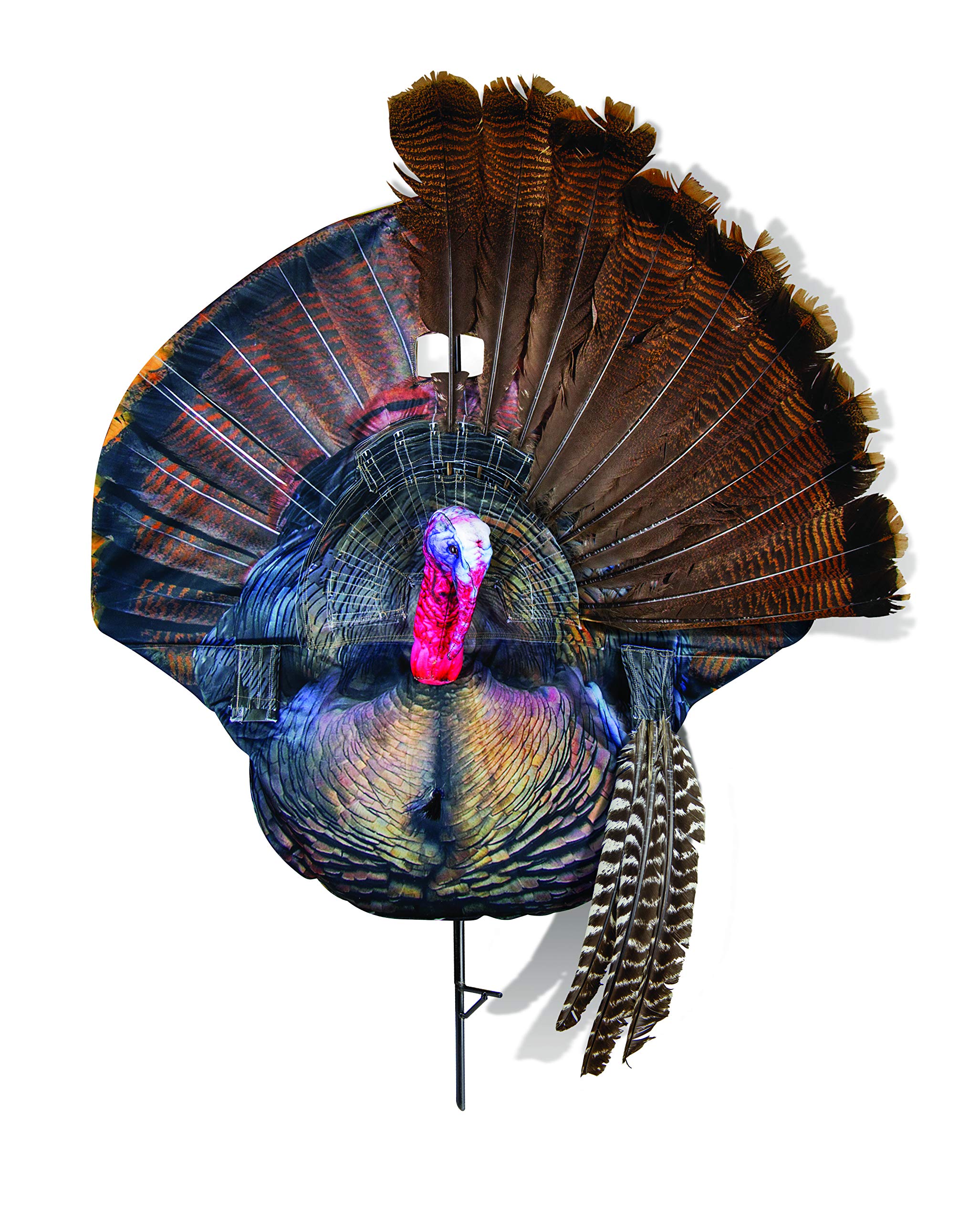 Montana Decoy Wiley Tom double-sided image lets Toms view it from multiple angles.