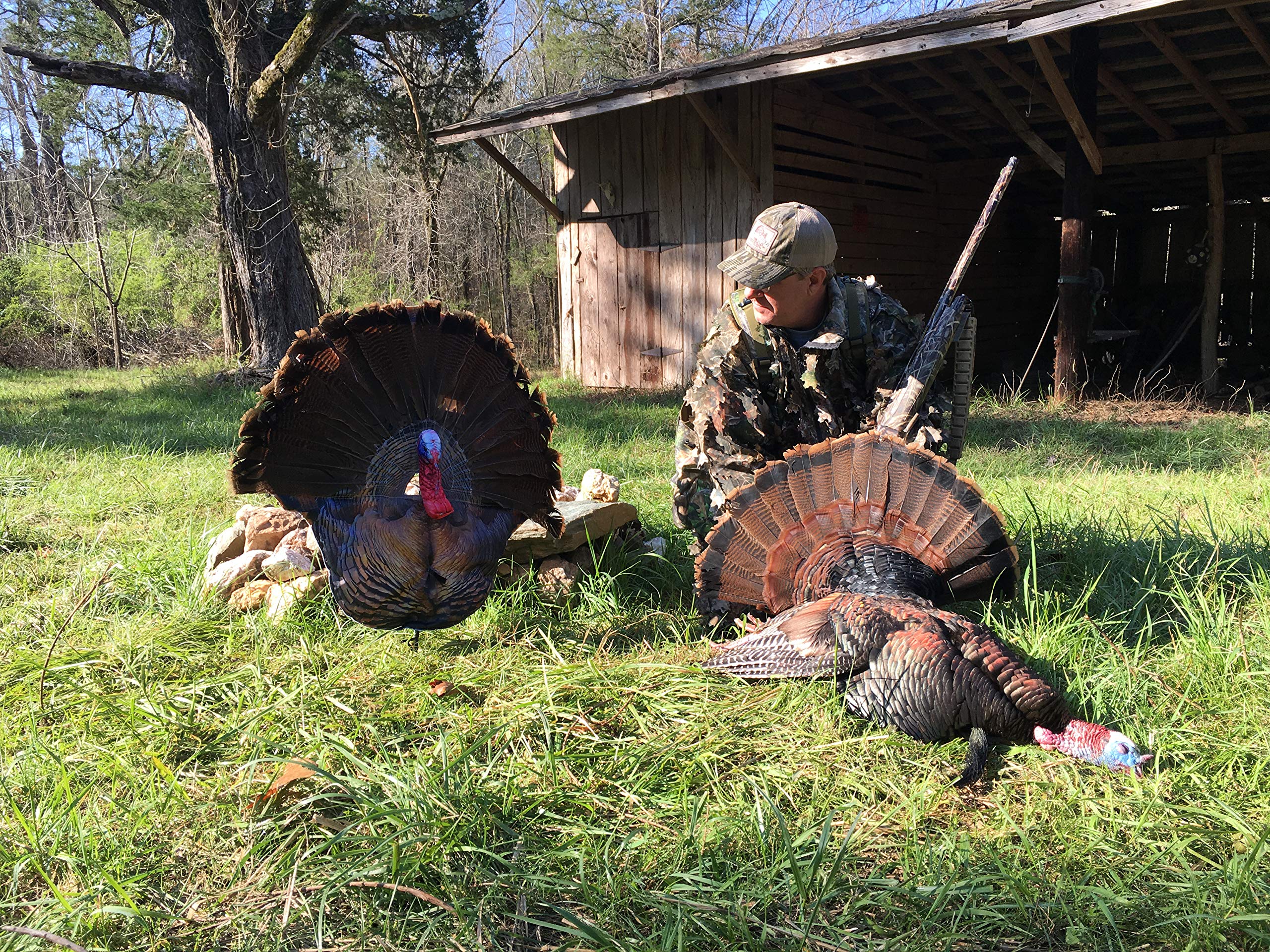 Wiley Tom double-sided printing lets gobblers see the decoy from either direction.