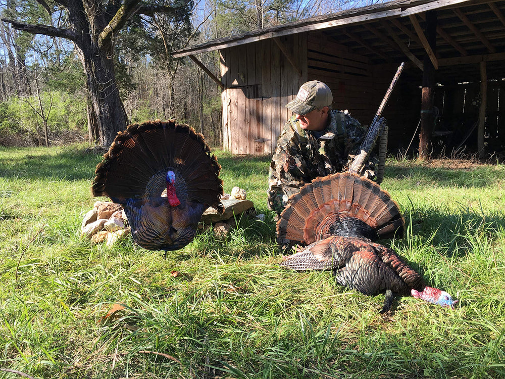 Wiley Tom double-sided printing lets gobblers see the decoy from either direction.