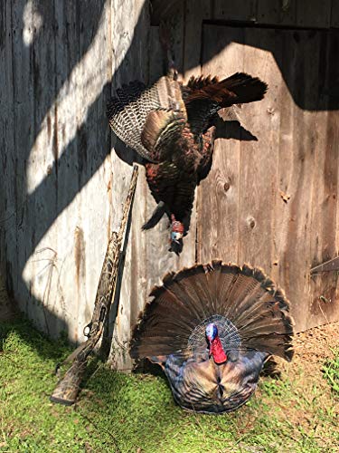 Wiley Tom's replaceable feathers let you swap damaged ones without replacing the whole fan.