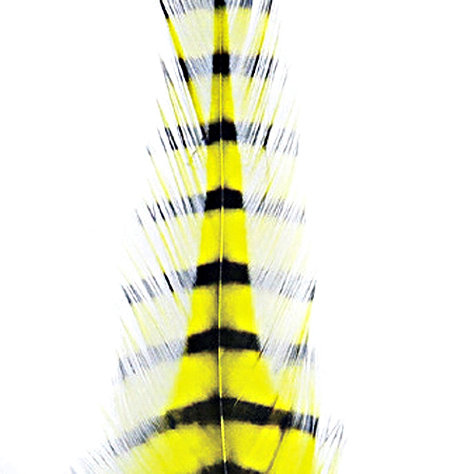 Montana Fly Barred Saddle Hackle feather for tails and wings, adding color and movement