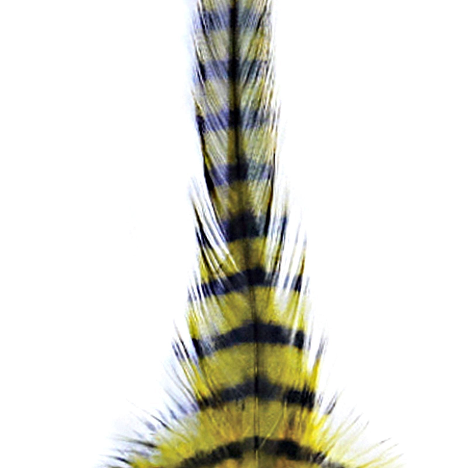 Montana Fly Barred Saddle Hackle in olive-black ideal for streamer patterns and palmered bodies