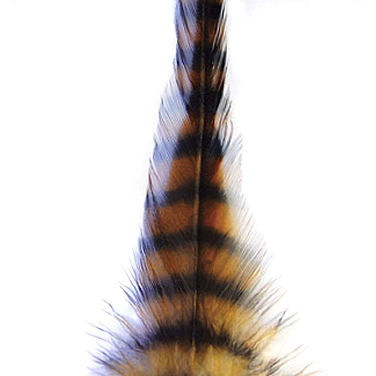 Montana Fly Barred Saddle Hackle feather for tails and palmered bodies on larger flies.