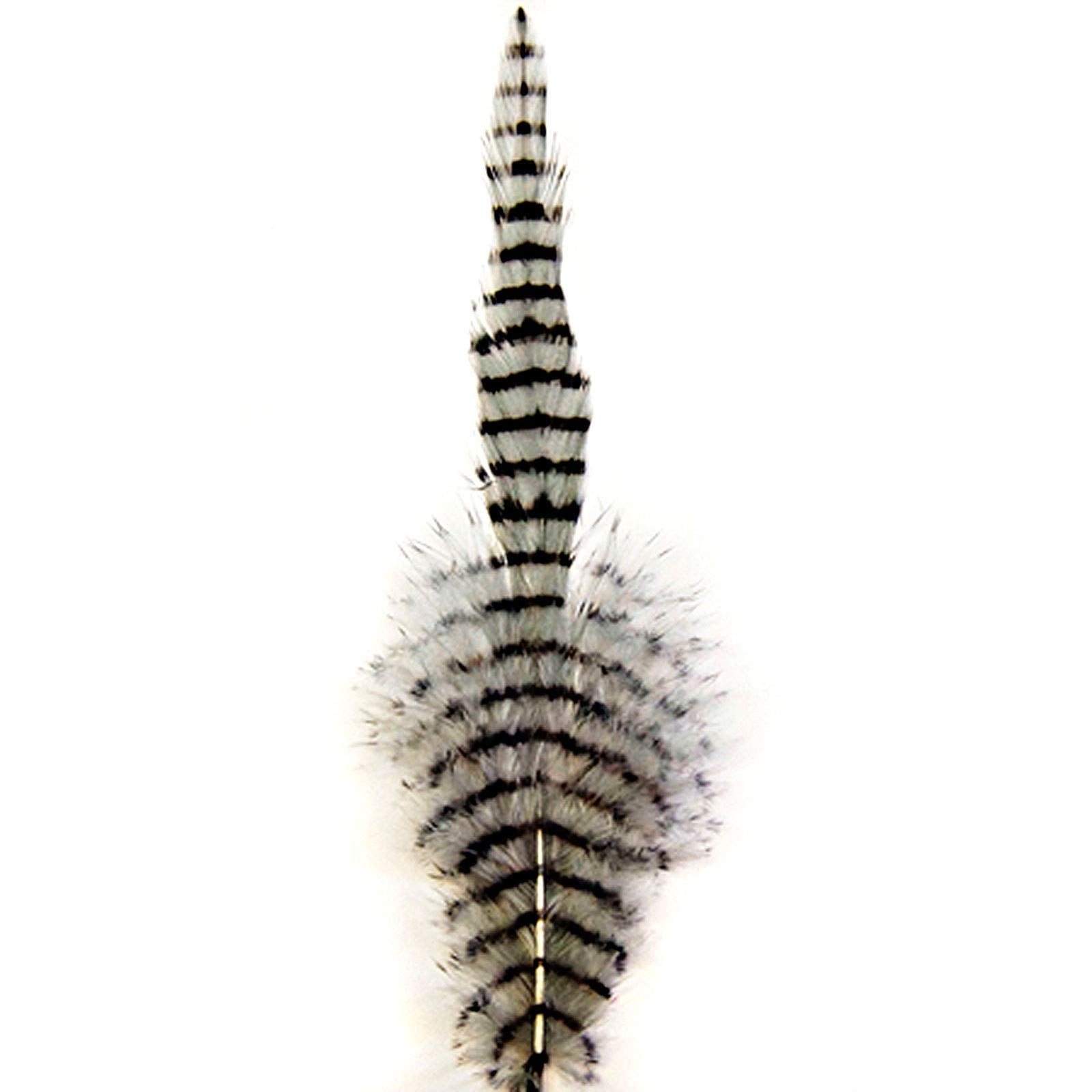Montana Fly MFC barred saddle hackle grey/black close-up feather ideal for tails and streamers.