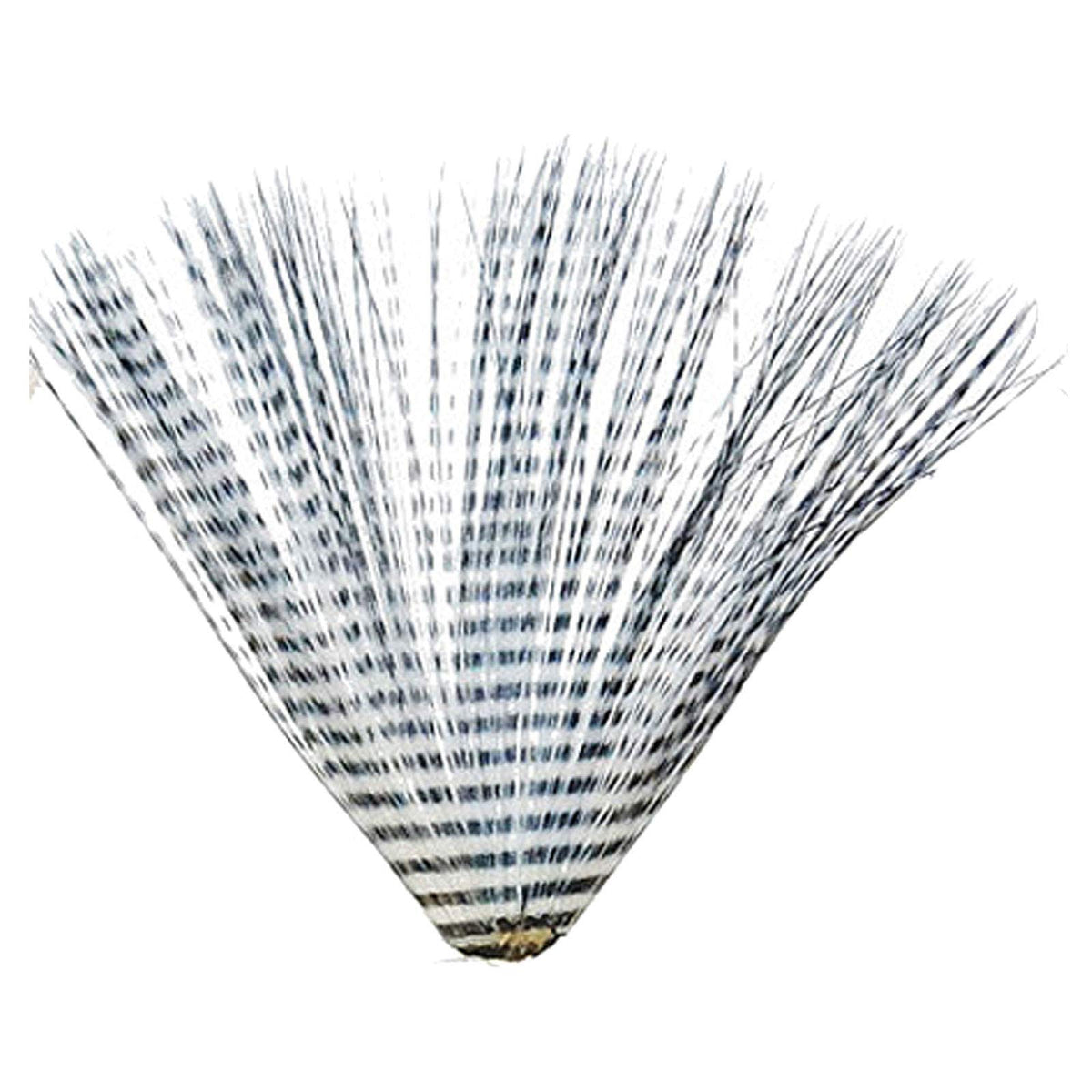 Montana Fly MFC Micro-Barred Fibbetts white/black fibers for small pattern tails.