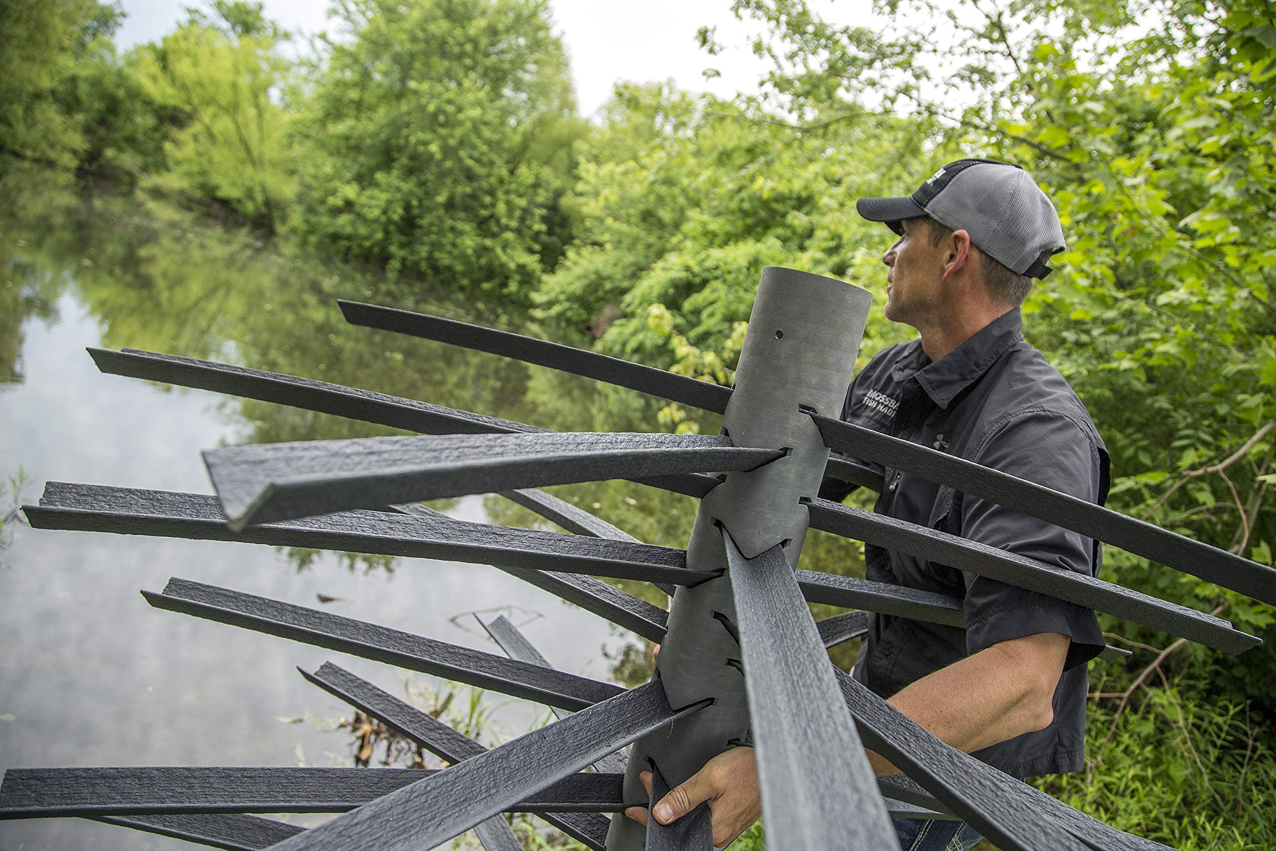 Fish around Safe Haven attracting bass and panfish