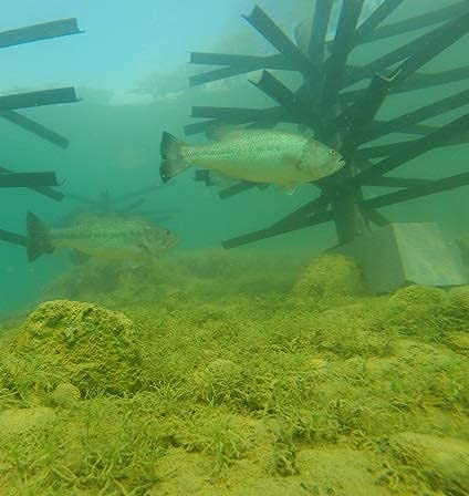 MossBack Fish Habitat Safe Haven product lineup