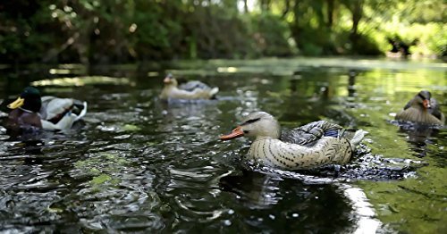 Motion Ducks jerk system in action, adding lifelike movement and flock-like realism