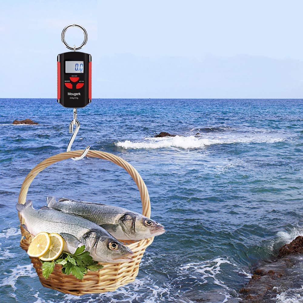 Packaging of Mougerk crane scale with manual