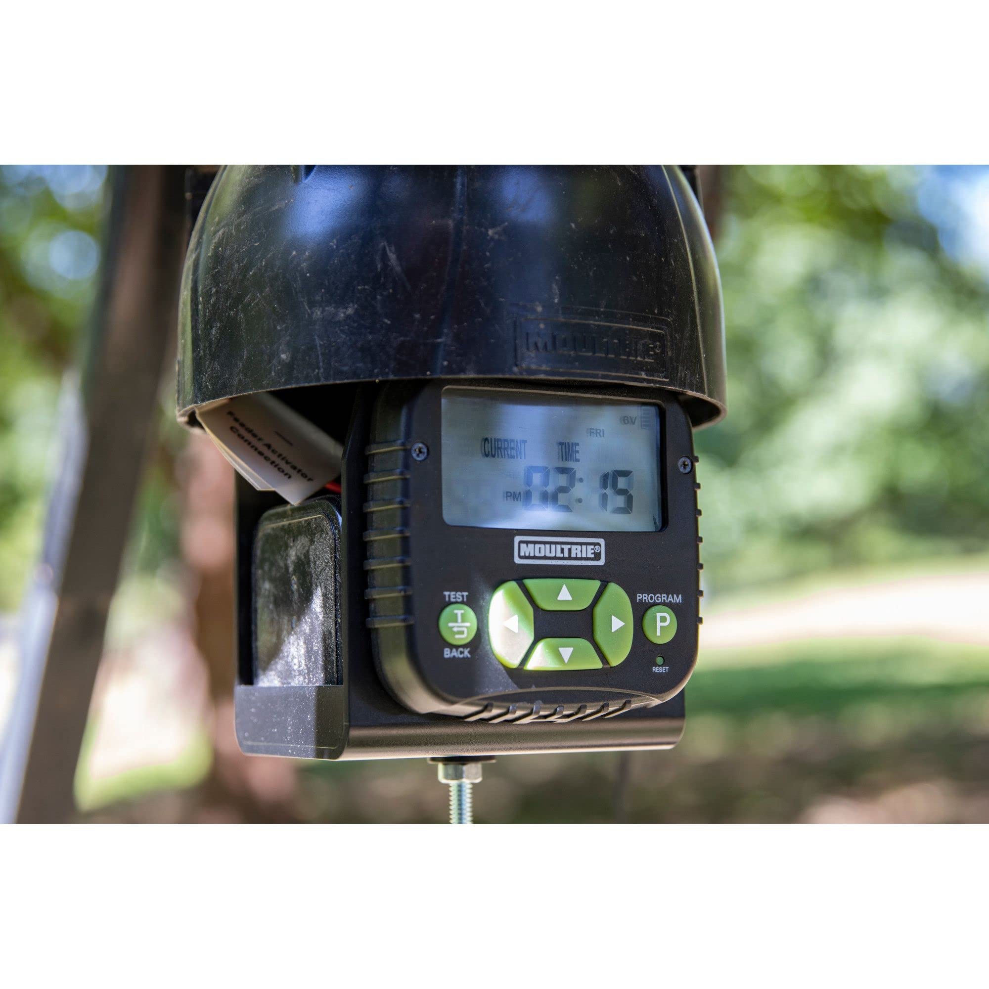 Feeder height of 6 feet for easy ground-level filling
