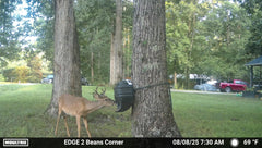 Durable, weather-resistant construction of Moultrie feed bin