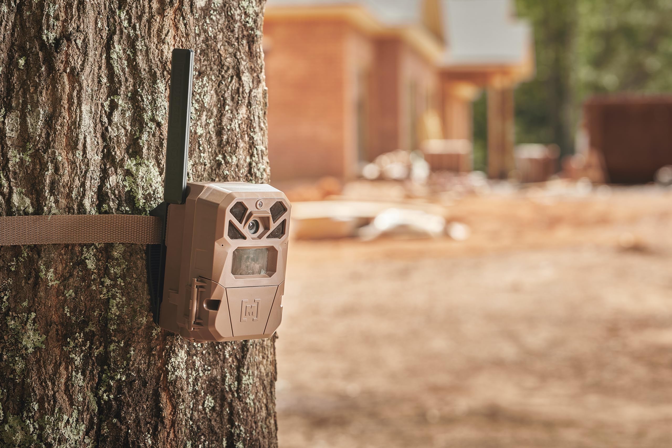 Moultrie Edge 2 100 ft detection range captures distant activity.