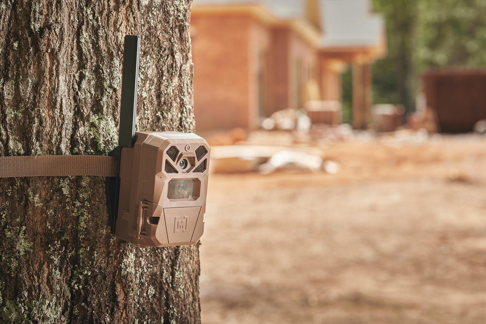 Moultrie Edge 2 100 ft detection range captures distant activity.