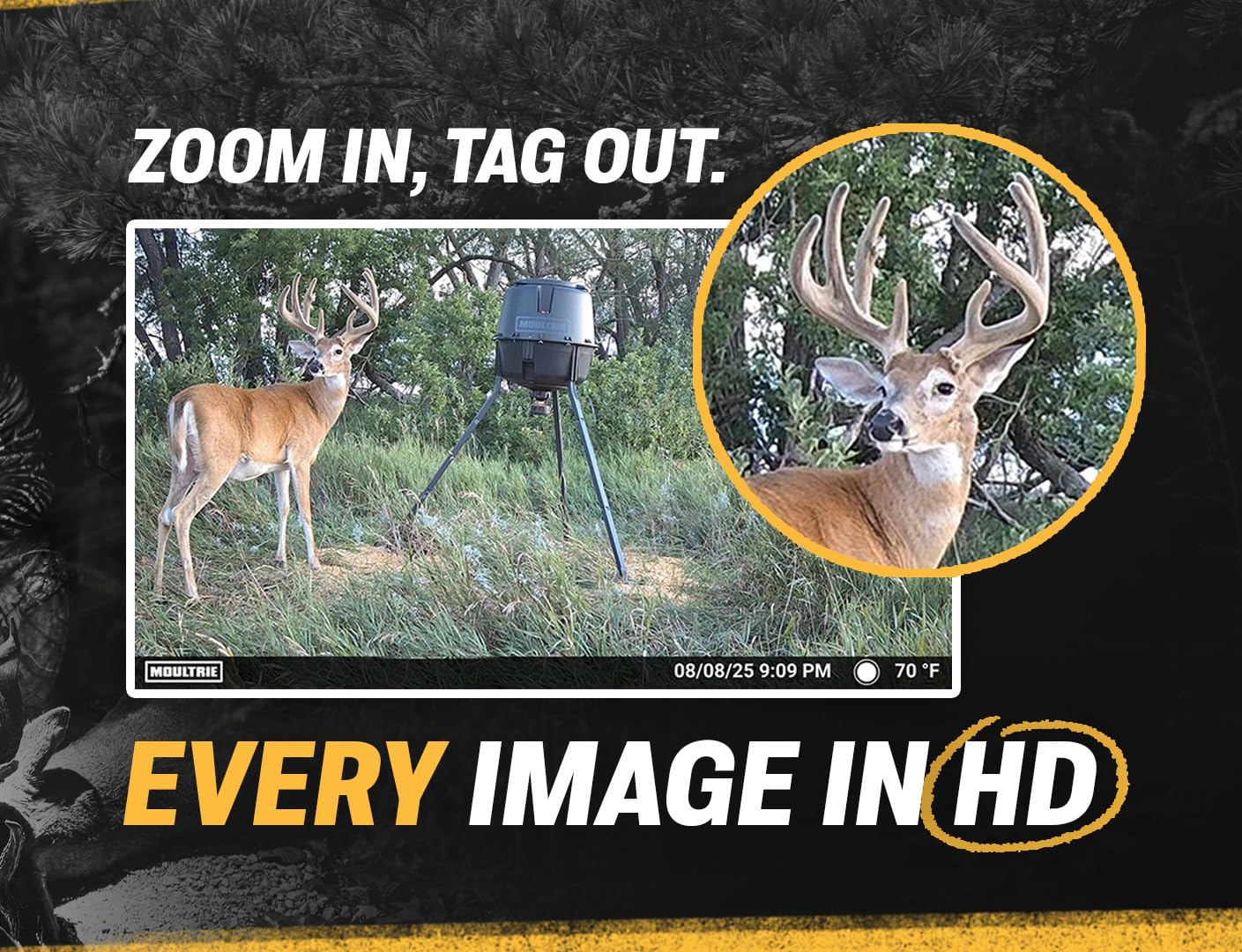 Moultrie Edge 2 36MP clarity delivers crisp high-resolution outdoor imagery