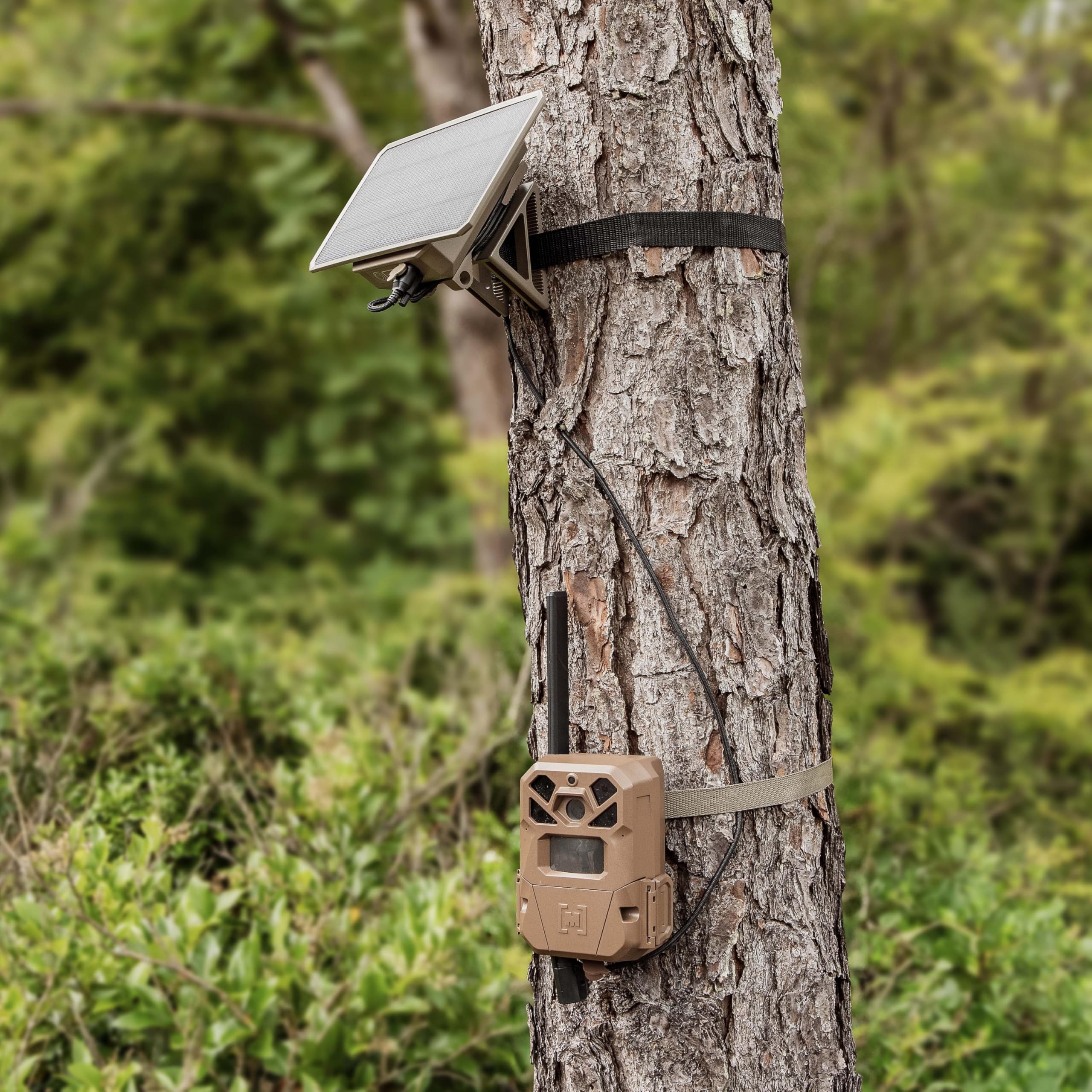 Moultrie Edge 2 Pro 40MP image captures crisp field details