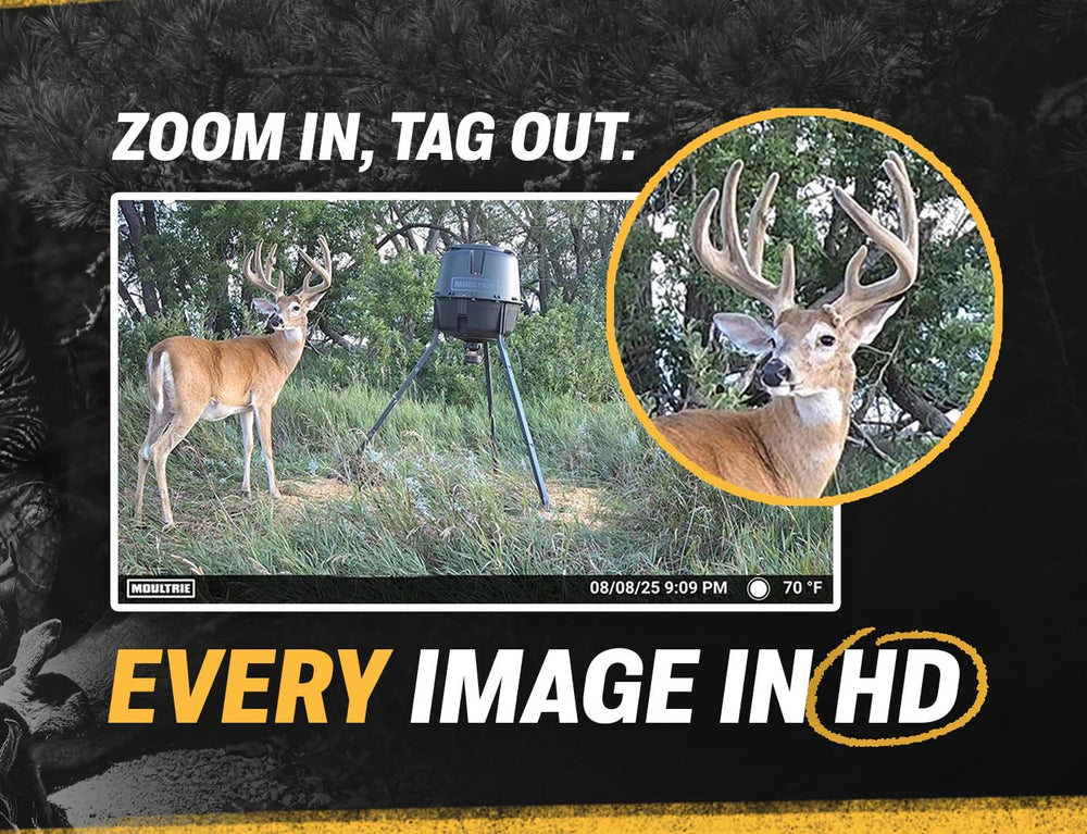Moultrie Edge 3 records 1080p video with low-glow flash at night
