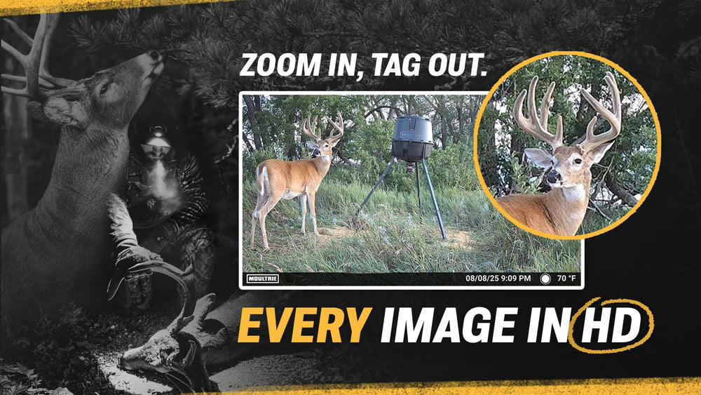 Moultrie Edge 3 live aim preview demonstrating real-time setup in the field