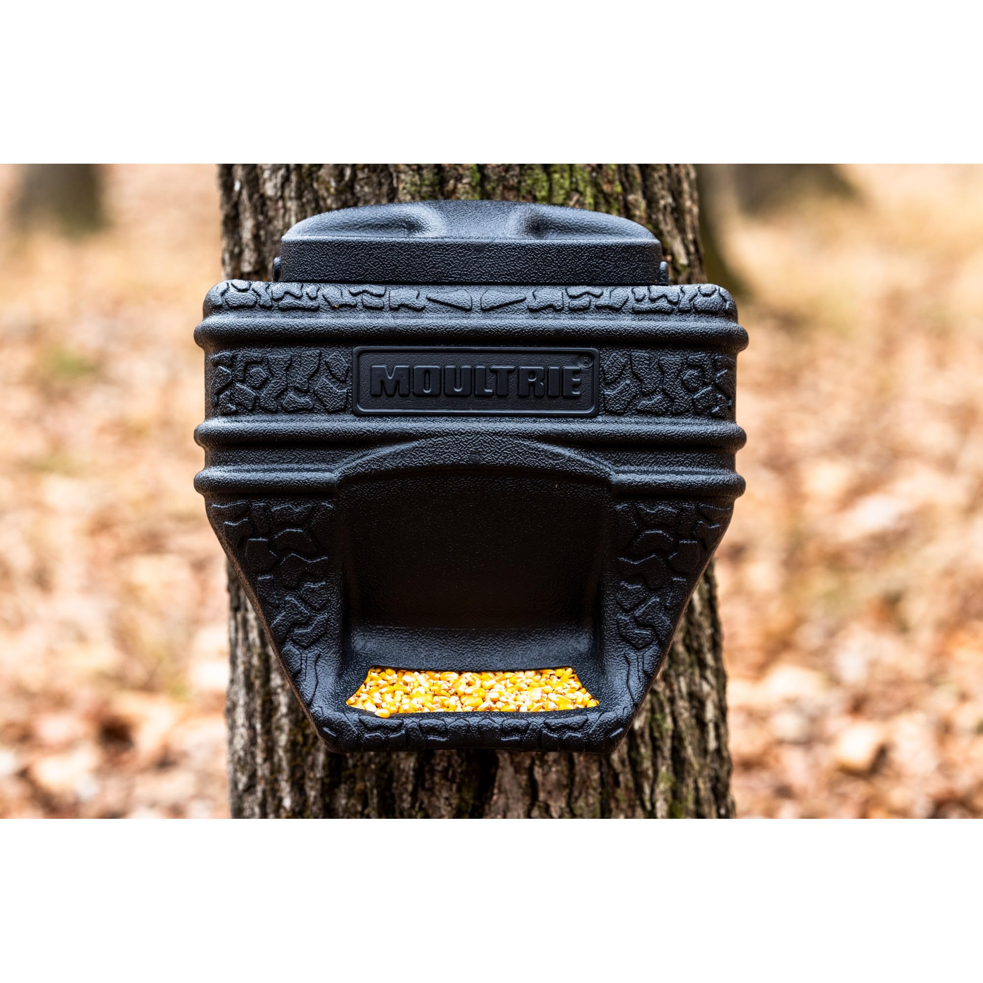 Moultrie feed bin in pasture, suitable for wildlife and livestock