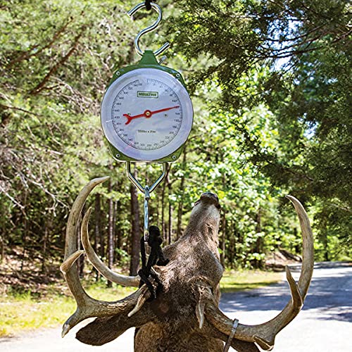 Moultrie Game Scale 550 lb green side view with two S-hooks for pulley setups