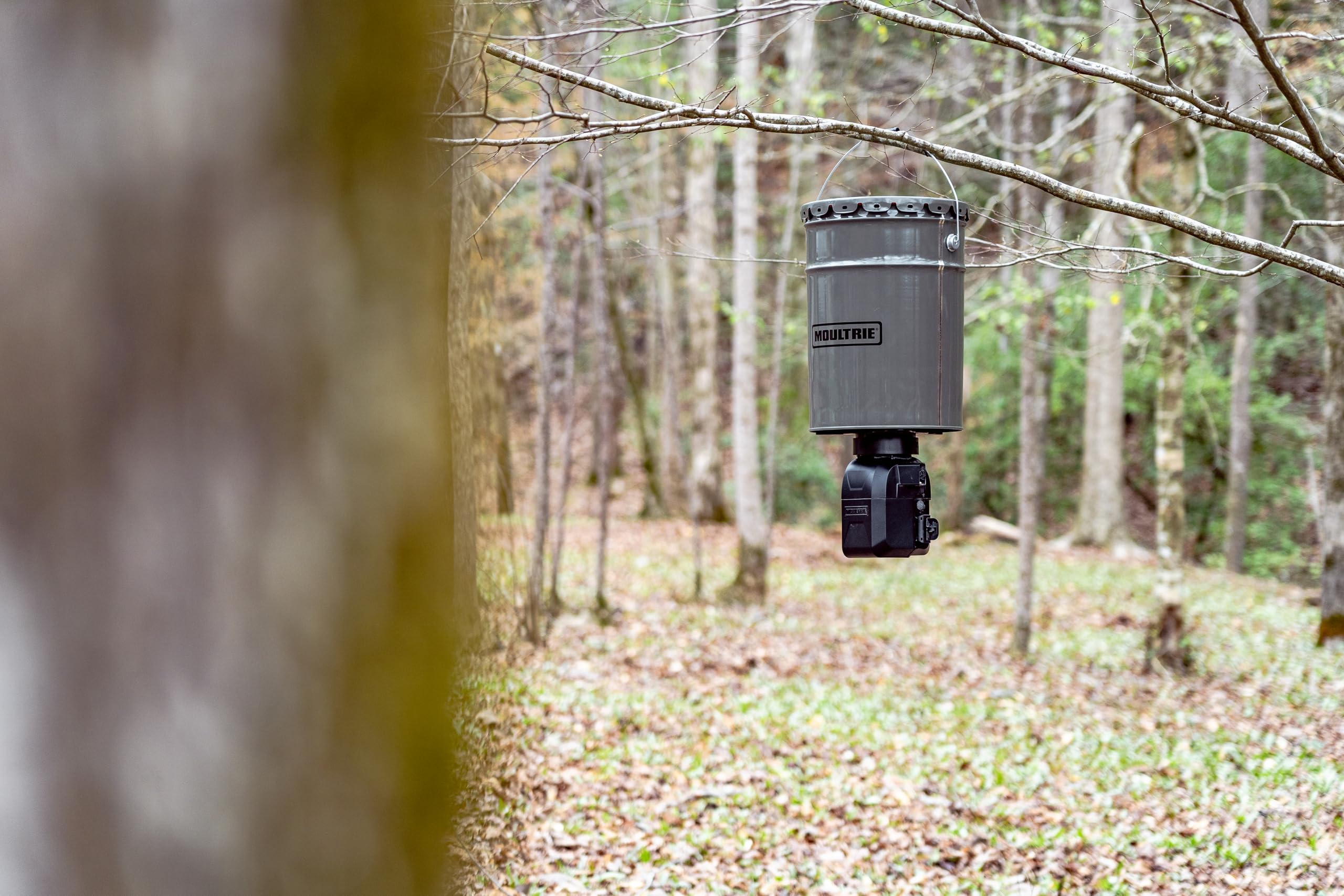 Hanging feeder installed outdoors by a metal hanger in a woods or pond setting.