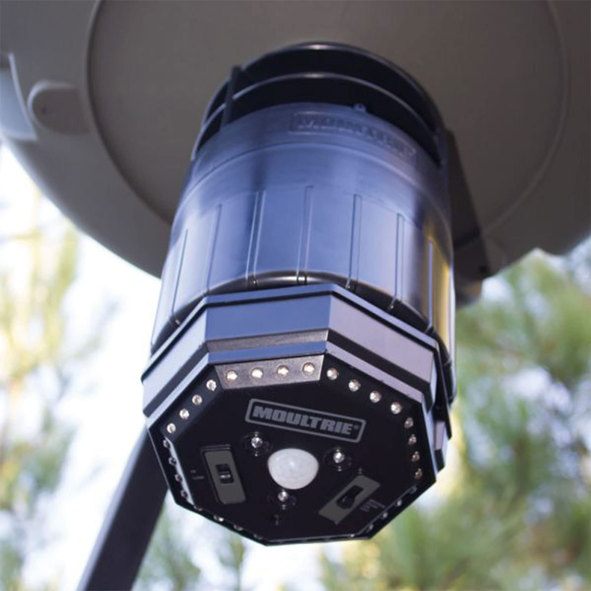 Close-up of Moultrie Hog Light showing 4-Way Switch