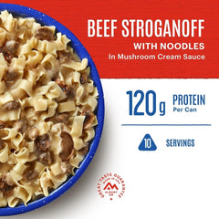 Mountain House beef-stroganoff-noodles-mushrooms shot emphasizes creamy sauce