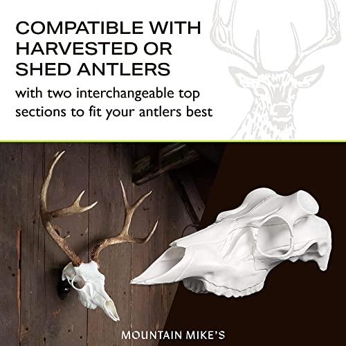 Mountain Mike's Skull Master 3D model replica—accurate deer skull for lifelike display.