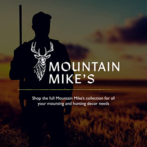 Mountain Mike's Skull Master cost-effective alternative to traditional taxidermy.