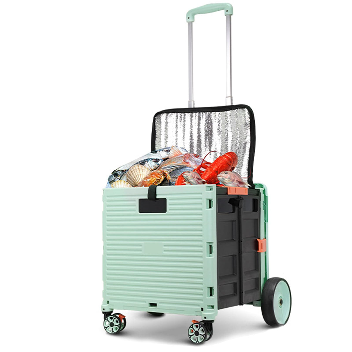 MOV COMPRA cooler bag wheeled exterior shows large insulated storage for camping adventures