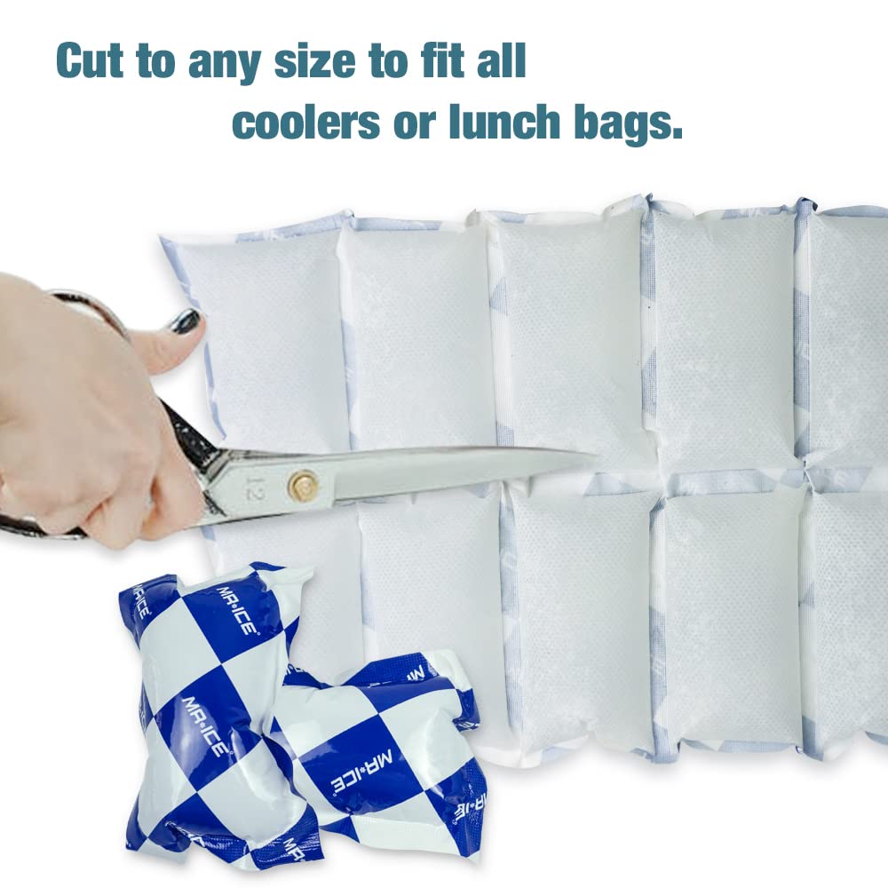 MR.ICE dry ice shipping cold pack with soft surface for gentle contact
