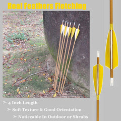 MS Jumpper 100 grain point for reliable penetration and easy replacement.