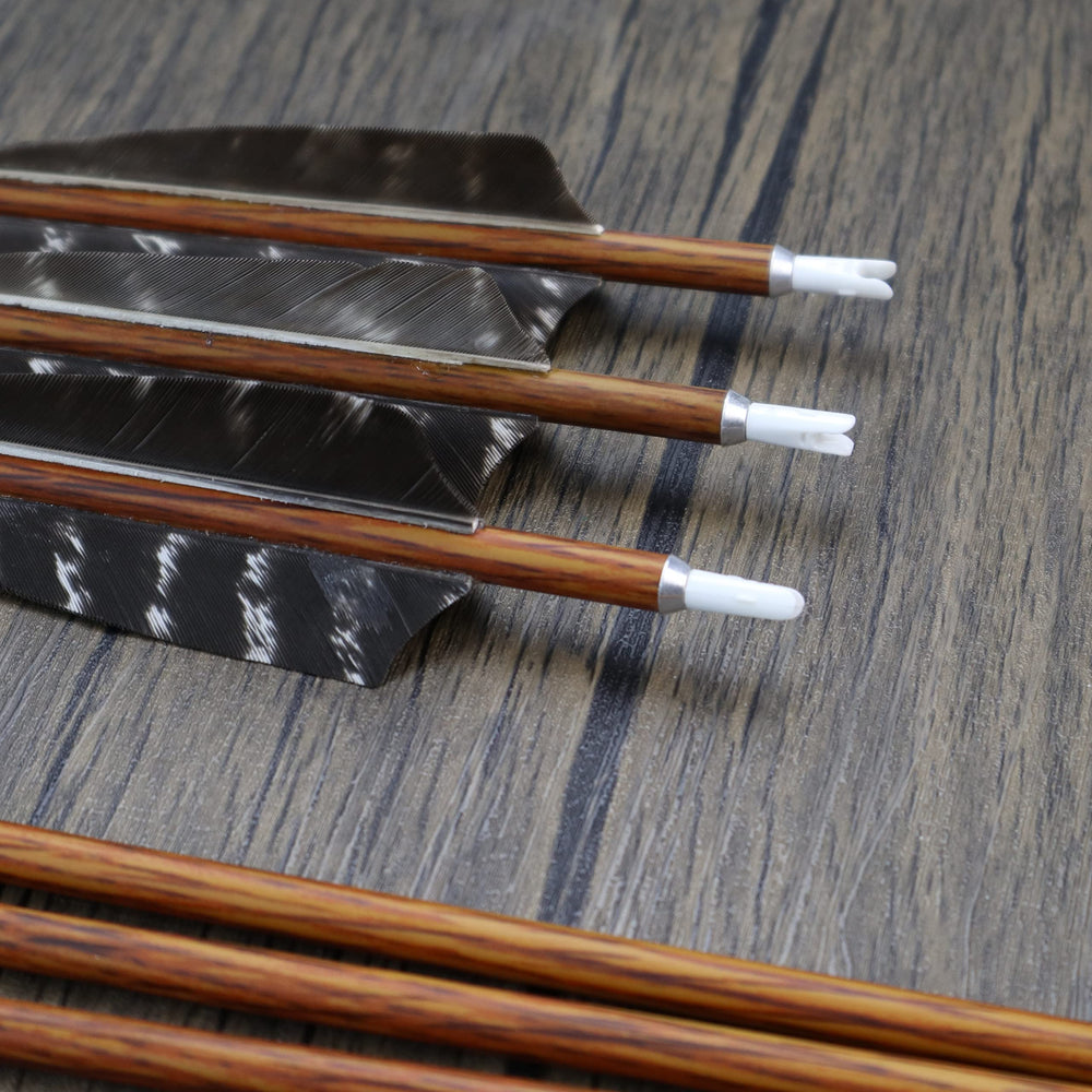 MS Jumpper arrows compatible with multiple bow types for versatility.