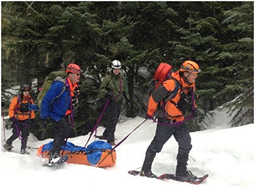 MSA Sked Basic Rescue System carabineers and storage bag support quick setup