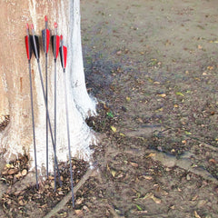 MS JUMPPER 100 grain points are screw-in and replaceable