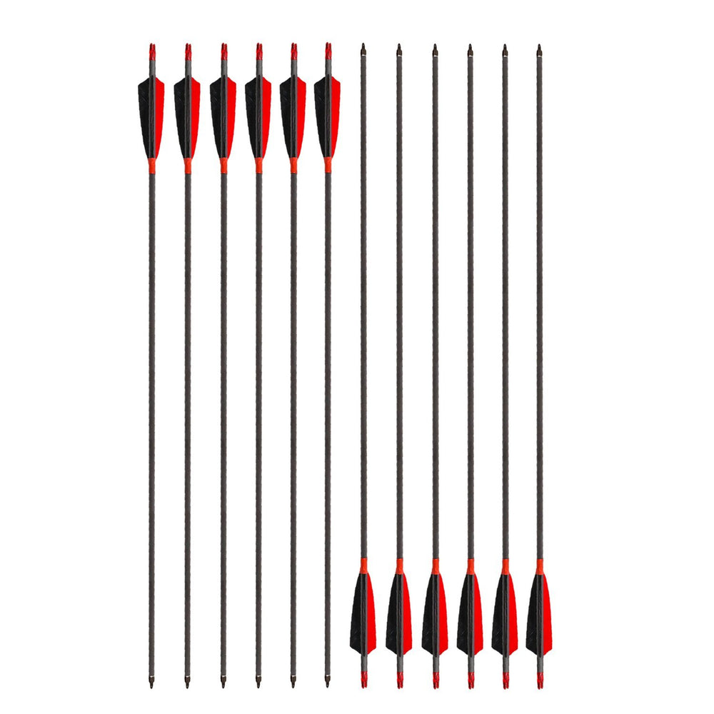 MS JUMPPER pre-cut arrows with high visibility in woods