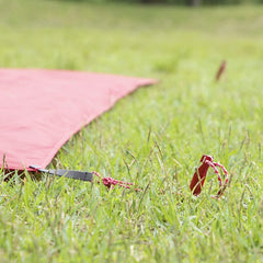 MSR Cyclone four-pack red tent stakes ready for windier shelters.