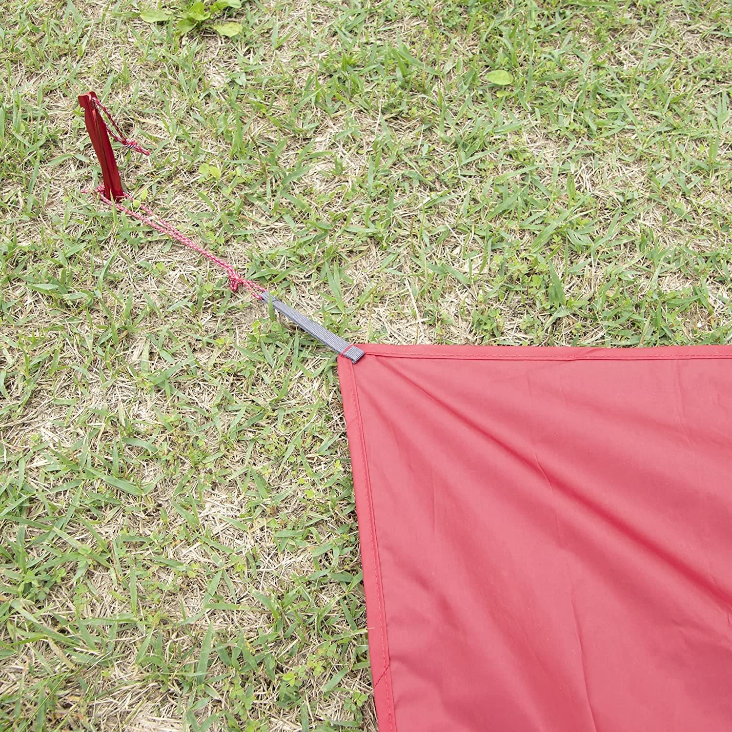 MSR Cyclone stake with reflective pull loop for easy removal.
