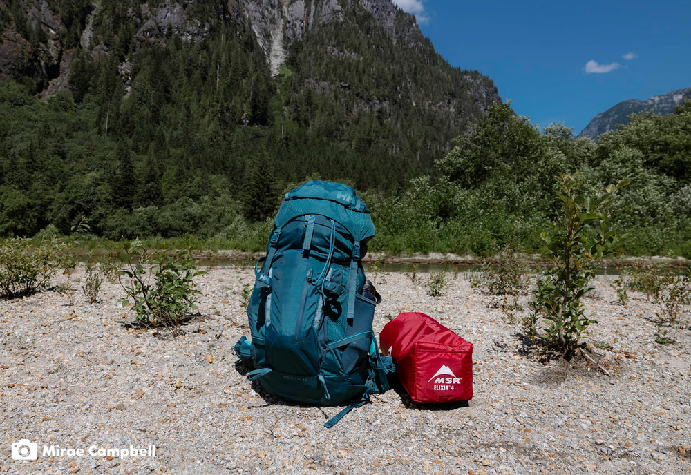 MSR Elixir 4P tent straight-pull zippers for easy night access