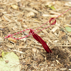 MSR kit in-use securing a tent against breeze for wind-ready stability