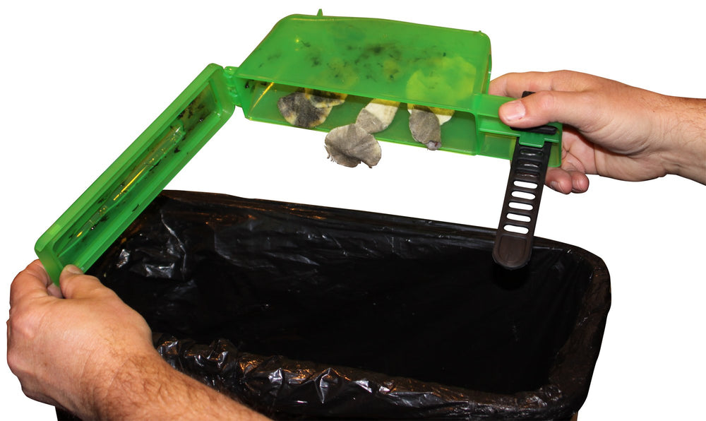 Clamshell packaging for MTM GCPC