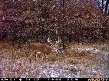 Muddy Matrix 80-foot detection range covers wider terrain for timely alerts.
