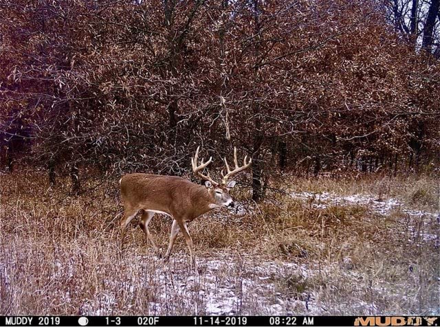 Muddy Matrix 80-foot detection range covers wider terrain for timely alerts.