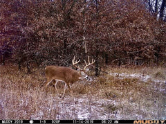 Muddy Matrix 80-foot detection range covers wider terrain for timely alerts.