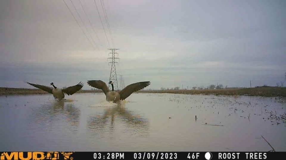 Muddy Mitigator camera sharing app enables teamwork and remote viewing.