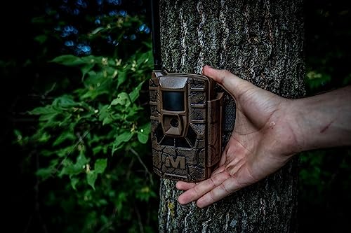 Muddy Mitigator flash range 80ft helps night surveillance without disturbing game.