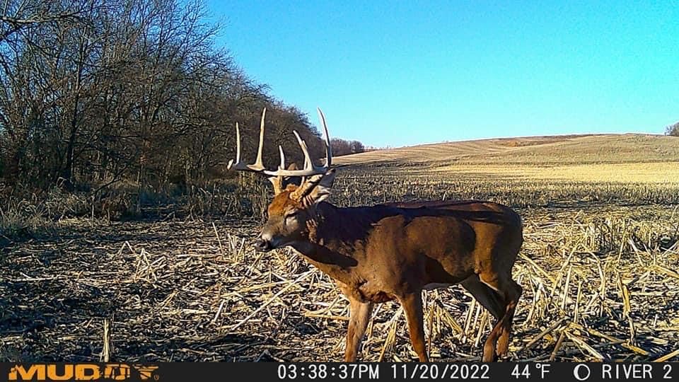 Muddy Mitigator on-demand photos let you verify setups instantly.