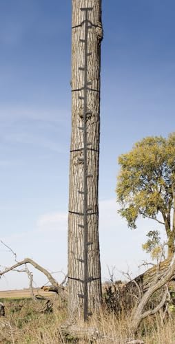 Raised-end steps and oval tubing rail on Muddy Quick-Stick climbing system for tree access